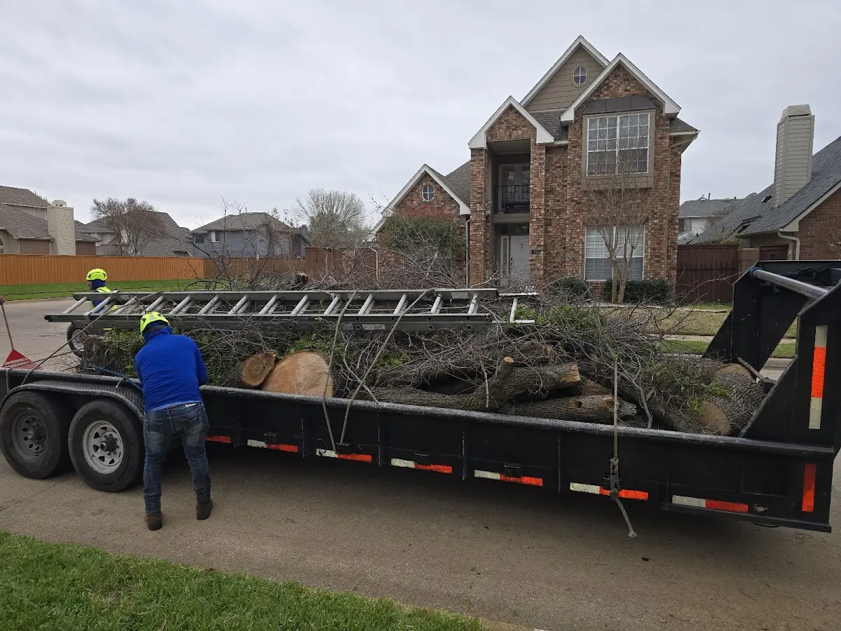 Expert Crown Reduction with proper safety equipment in Sturgeon Bay
